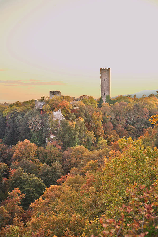 torre-chia-tramonto-1034