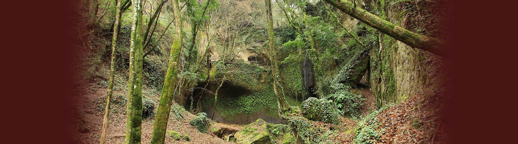 Romitorio di Poggio Conte – immersione nella foresta.