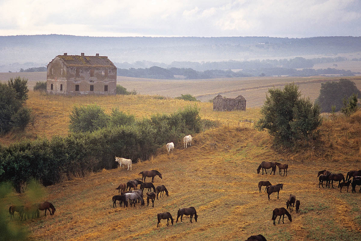 Paesaggi della Tuscia – galleria