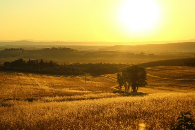 campi di grano della tuscia