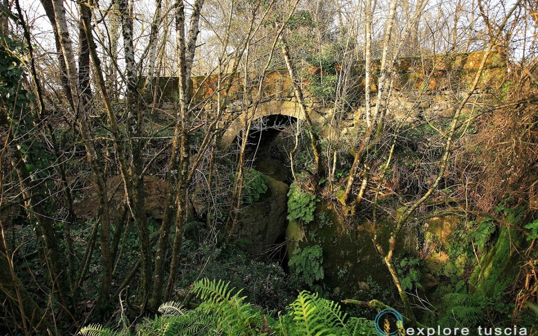 Ponte Etrusco