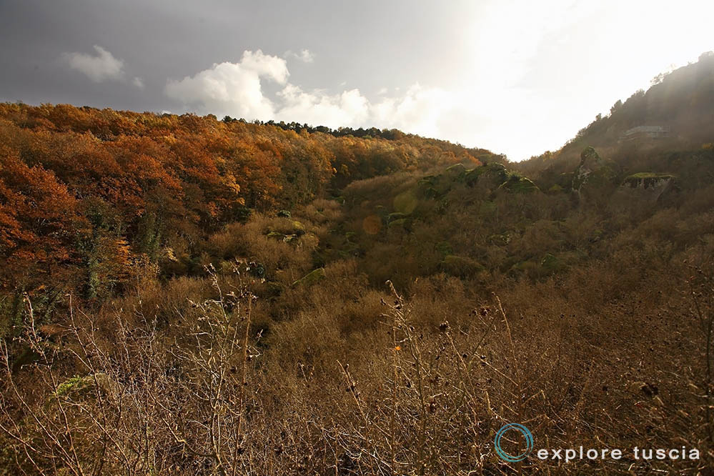 La Valle dei megaliti