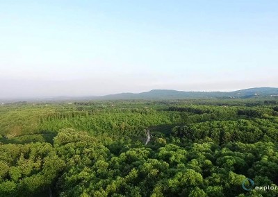 capranica-paesaggio