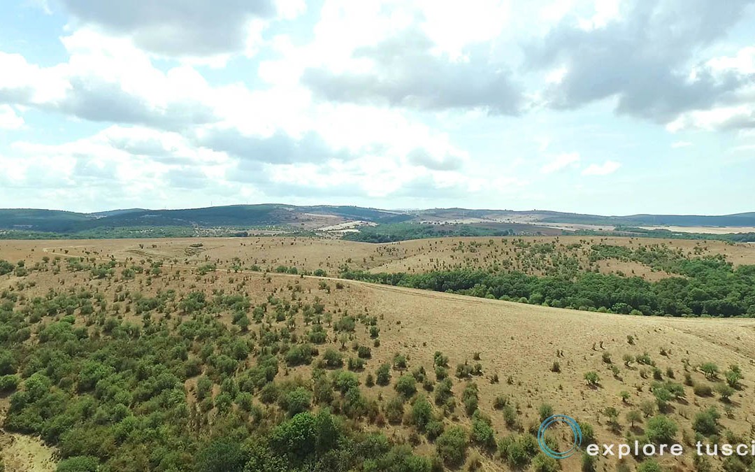 Grandi Spazi della Tuscia