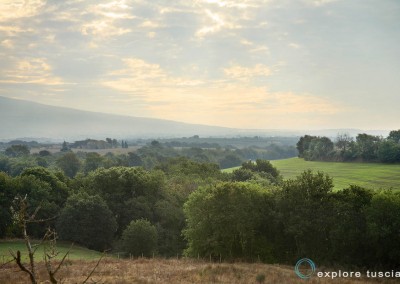 paesaggi-della-tuscia-4260