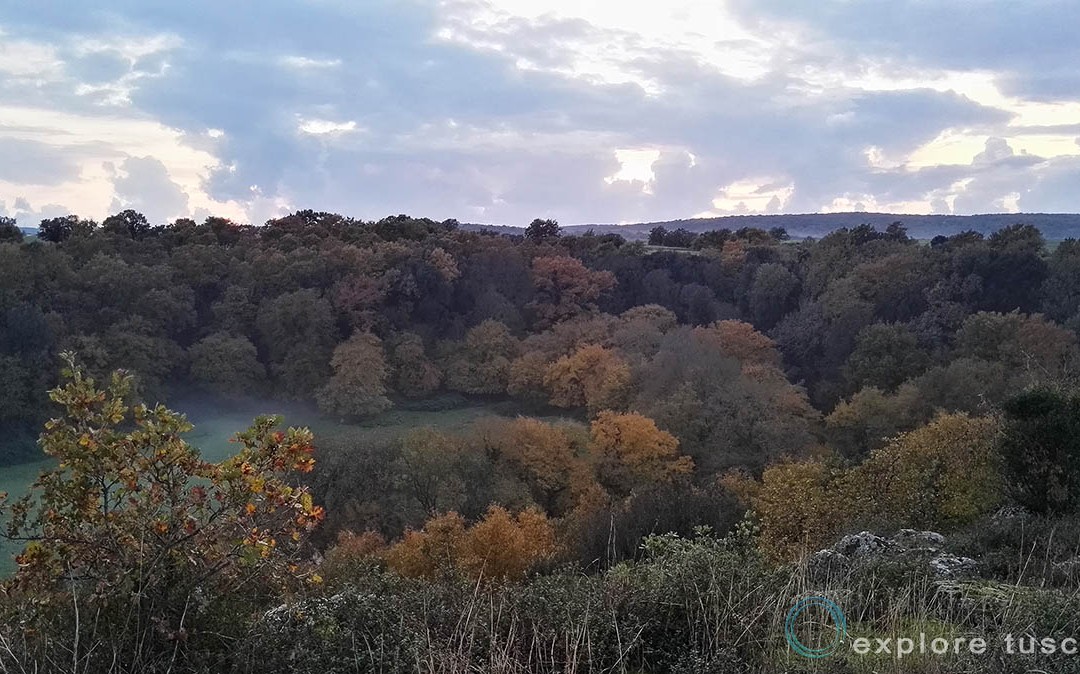 Paesaggio Straordinario
