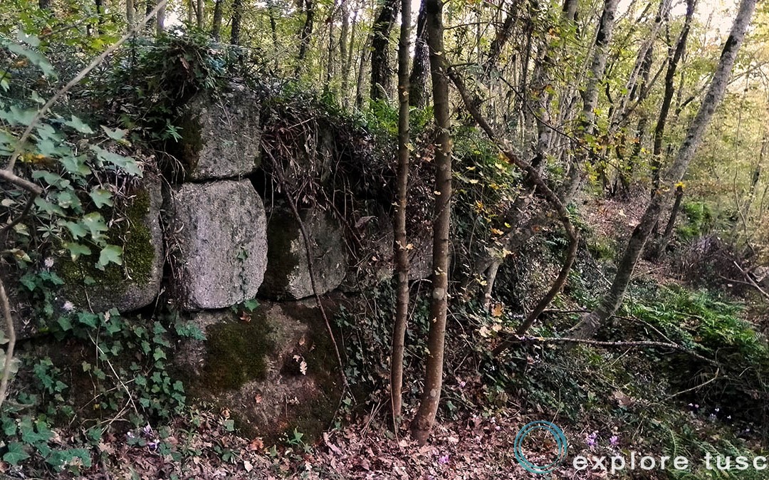 Muri antichi