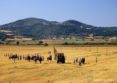 solco-dritto-di-valentano