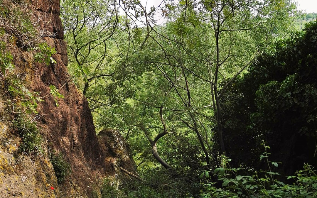 Monte Casoli
