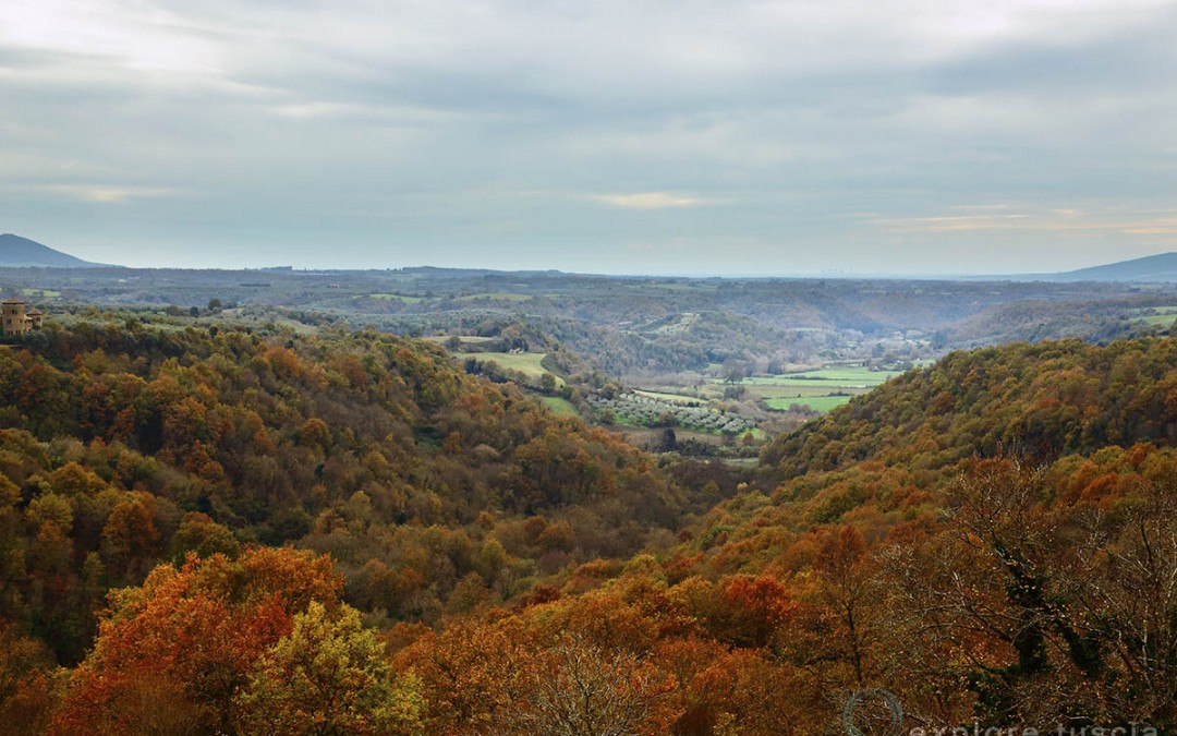 la Selva del Lamone