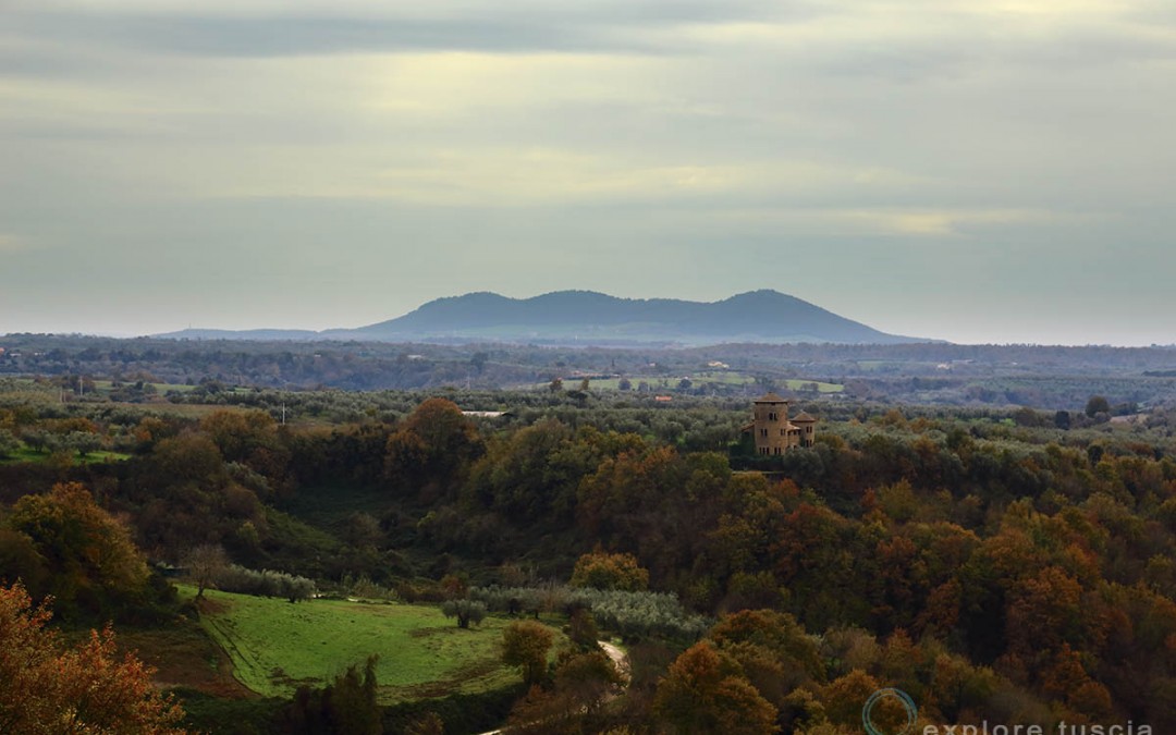 La Selva Magica