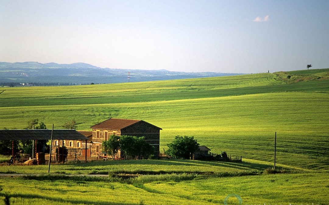 In Campagna