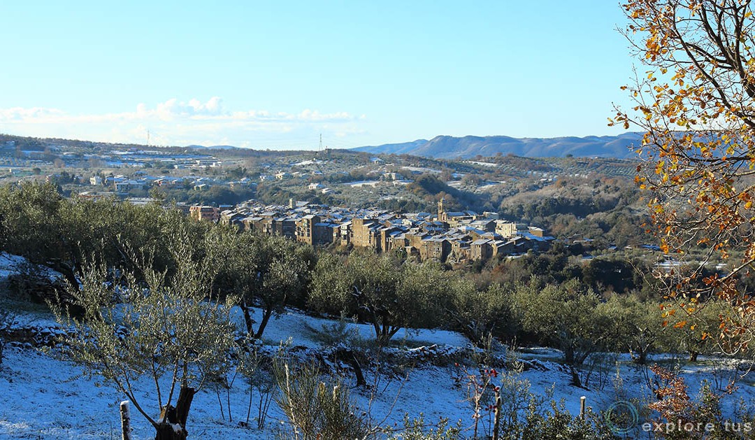 Blera sotto la neve