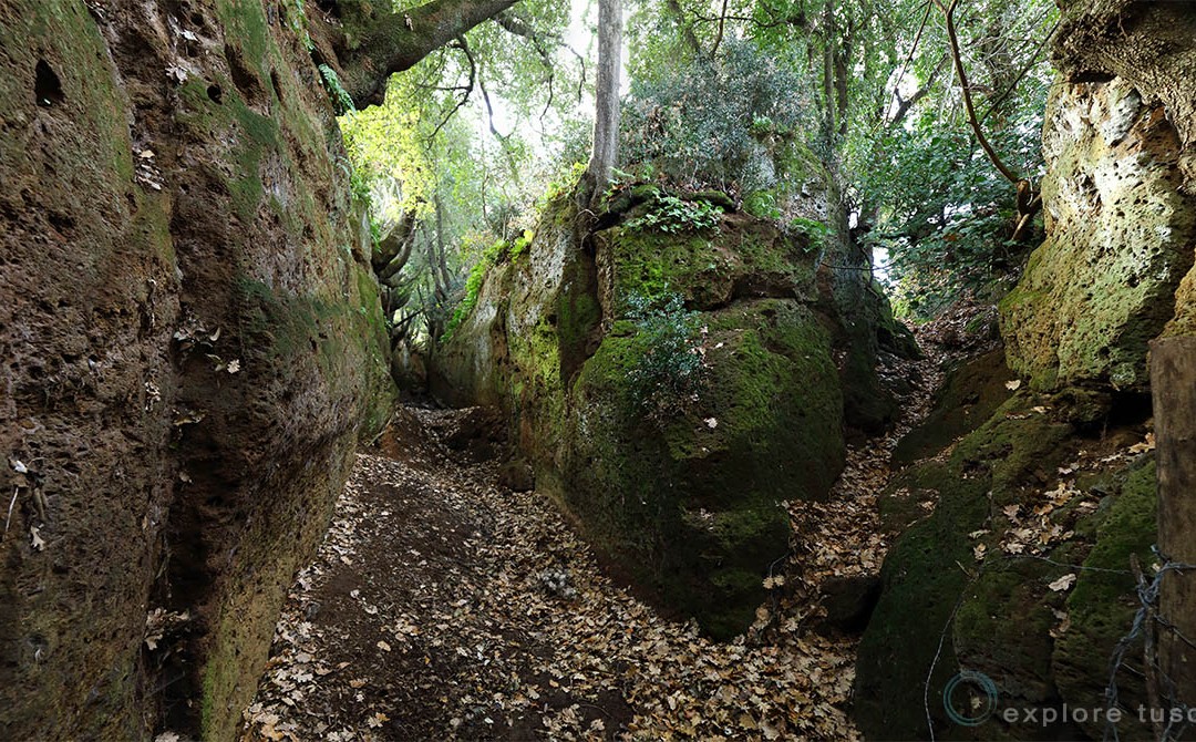 La Cava Buia di Norchia – una via cava molto speciale