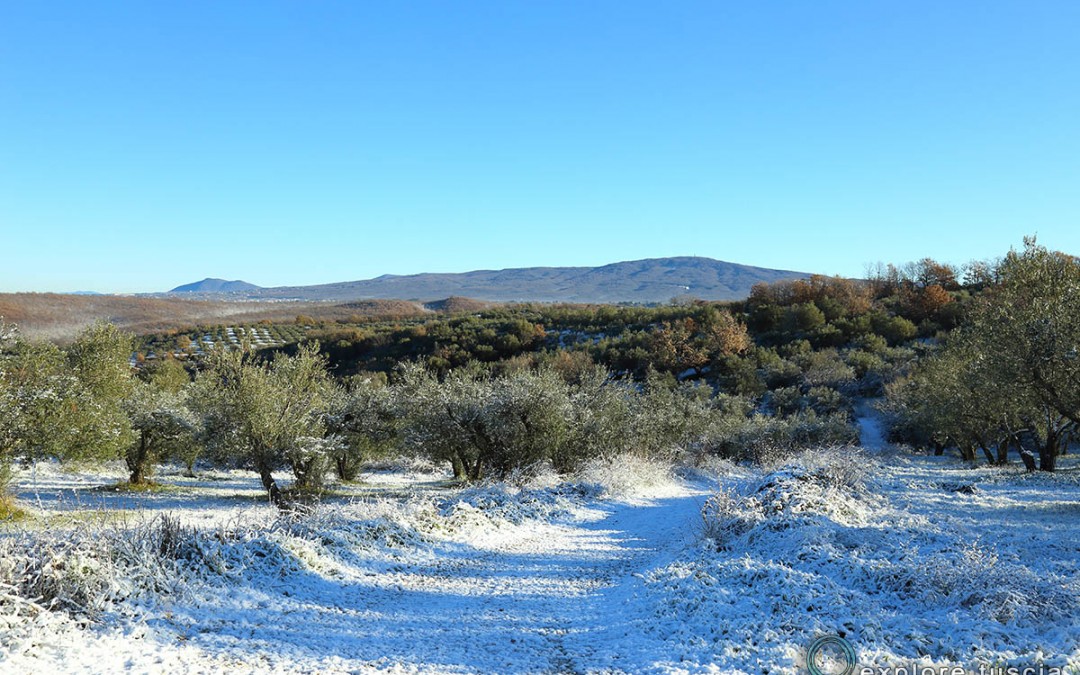 Il Vulcano nella Neve