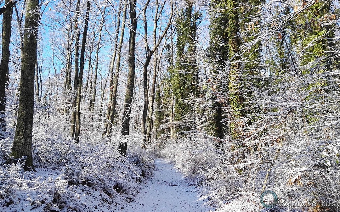 Neve nella Tuscia