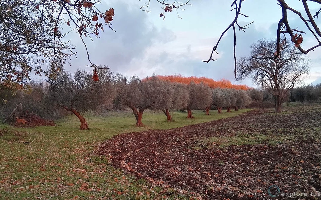 Campagna