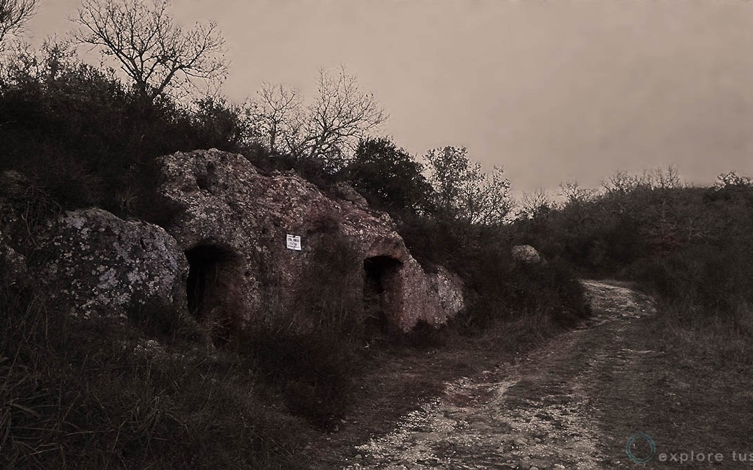Tuscia Rupestre