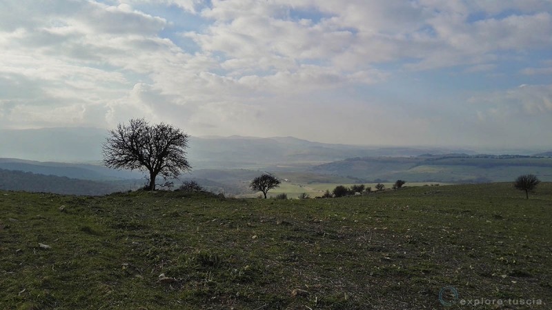 valle-del-mignone-zps