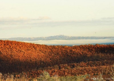 montefiascone-sulla-tuscia