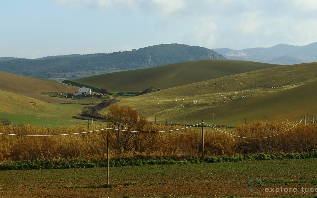 La Farnesiana