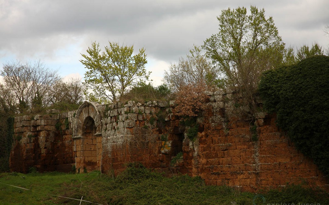 Falerii Novi