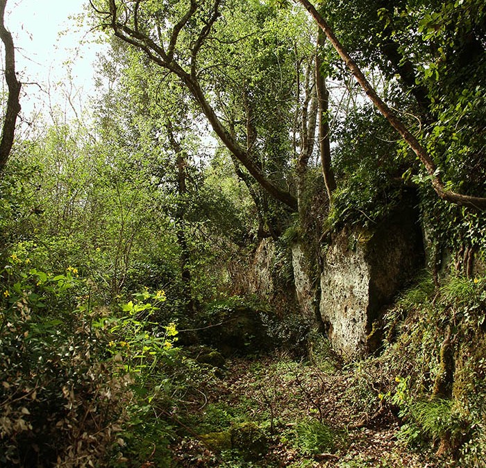 Vie antiche
