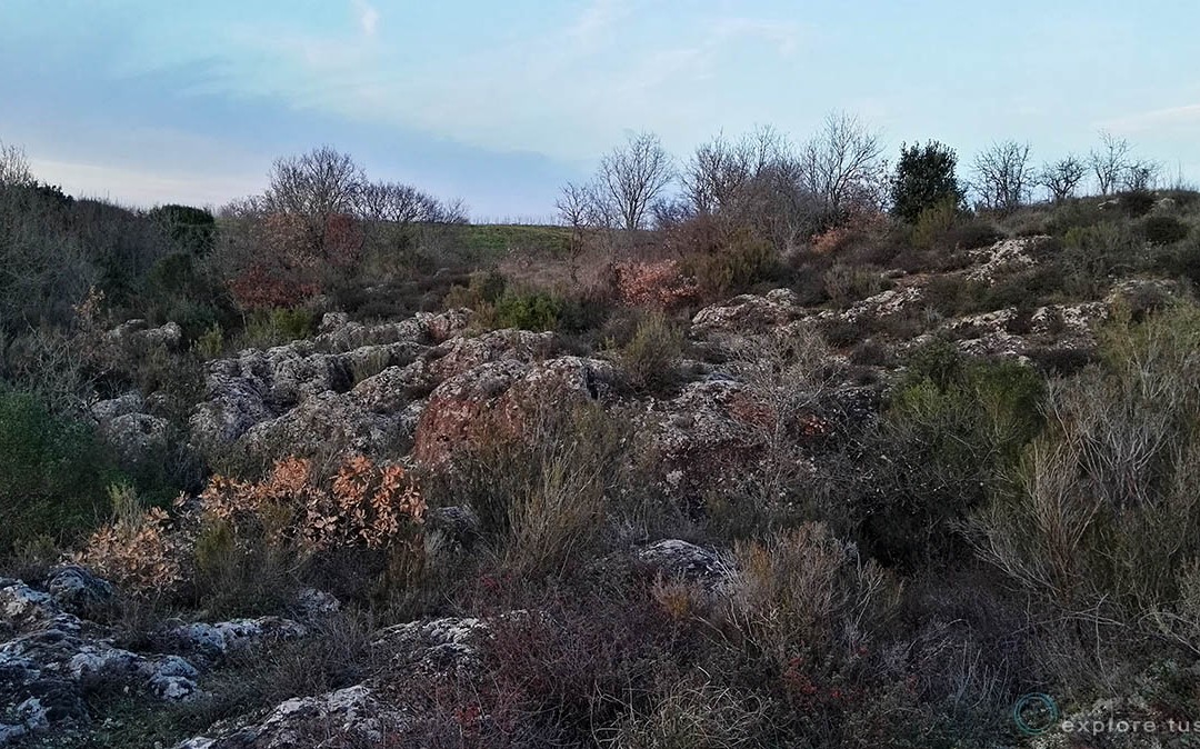I Paesaggi del Tufo