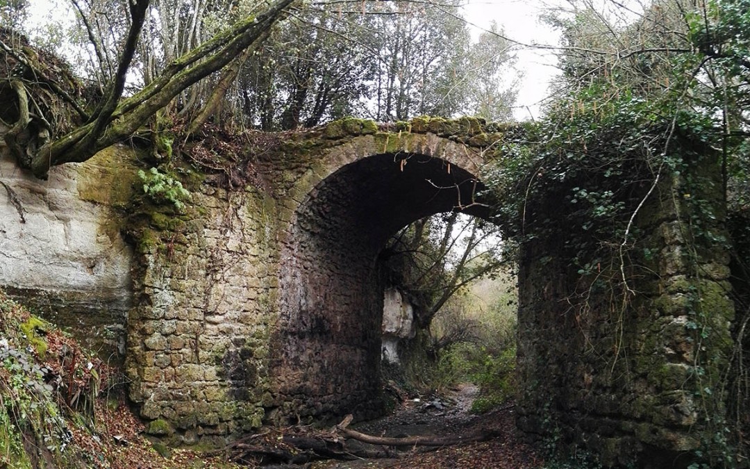 Esplorando la Necropoli di Tuscania