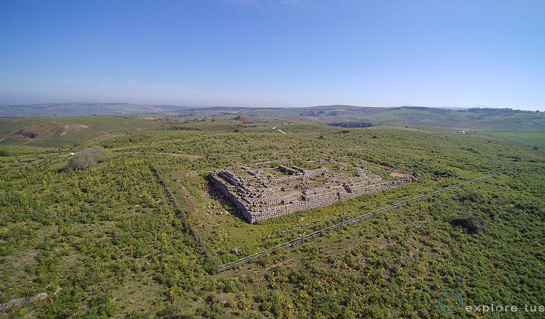 Ara della Regina