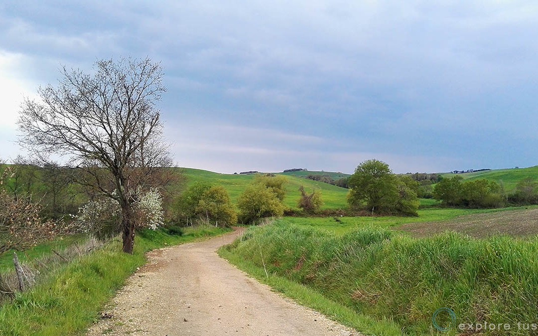 Campagna
