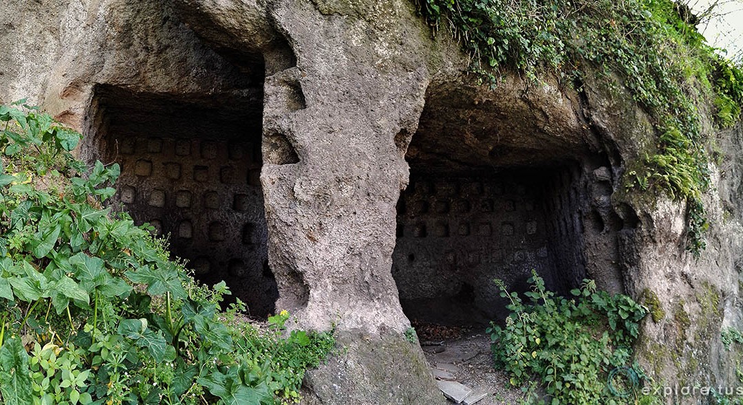 Viterbo, un colombario andando per strada