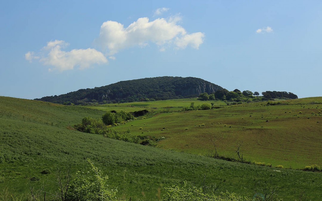 La Farnesiana a primavera