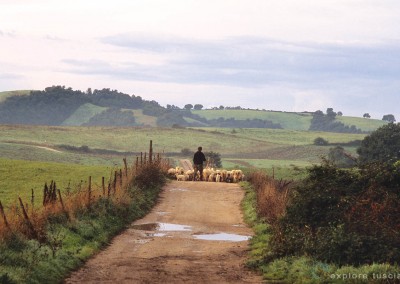 pastori-della-tuscia