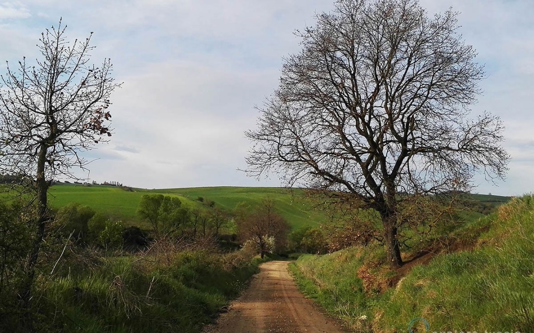 strade di Campagna