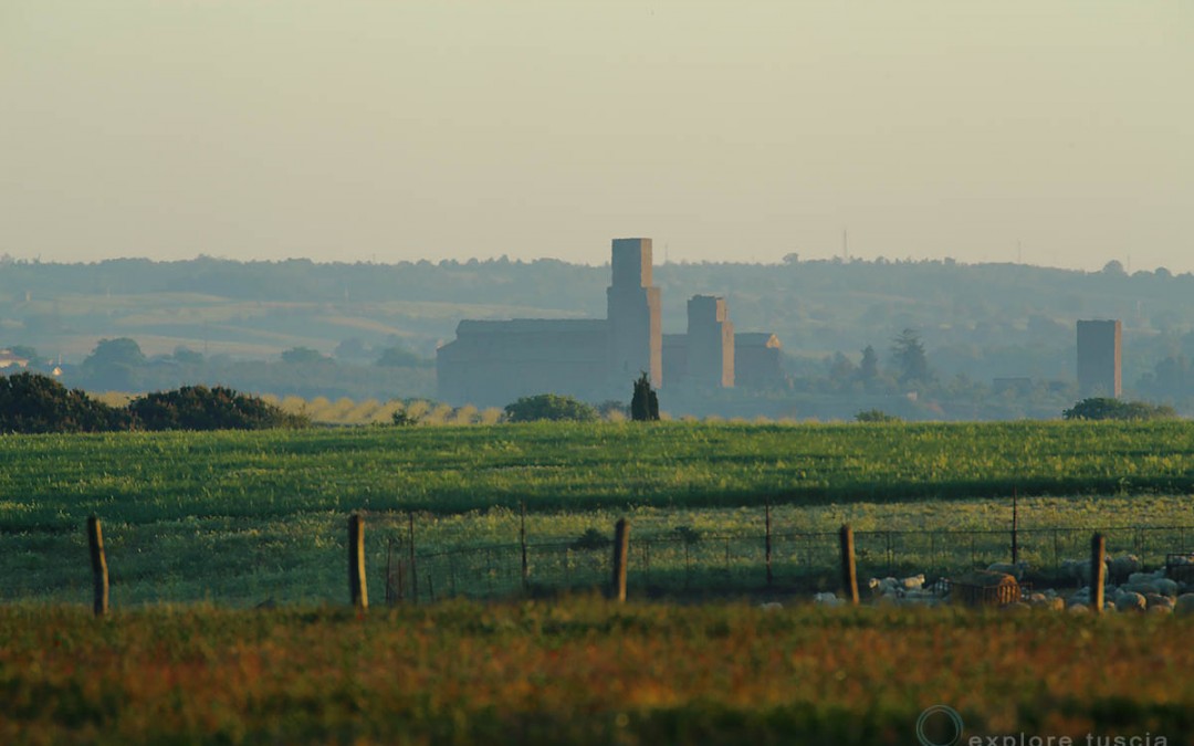 Tuscania, San Pietro – inedito 1