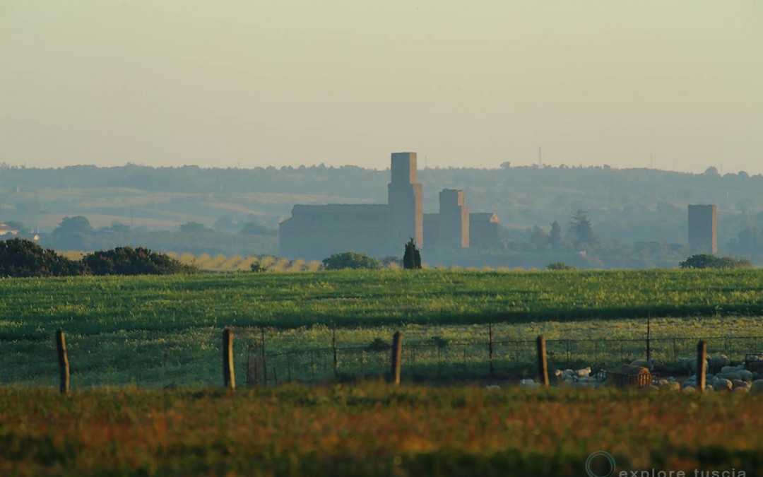 Tuscania, San Pietro – inedito 1