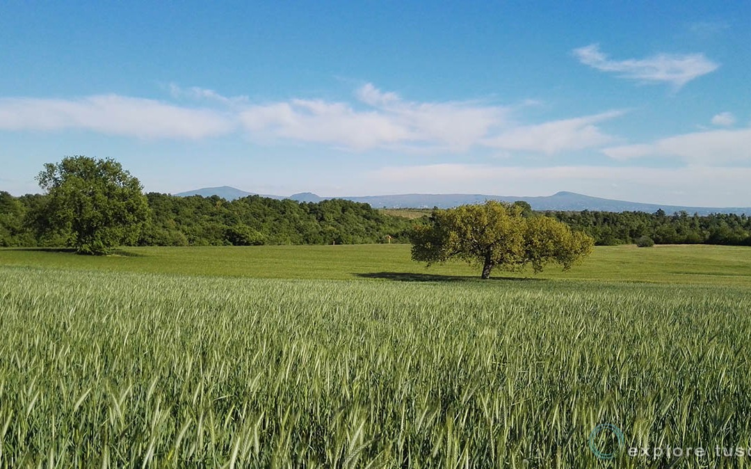 La Tuscia di Mezzo