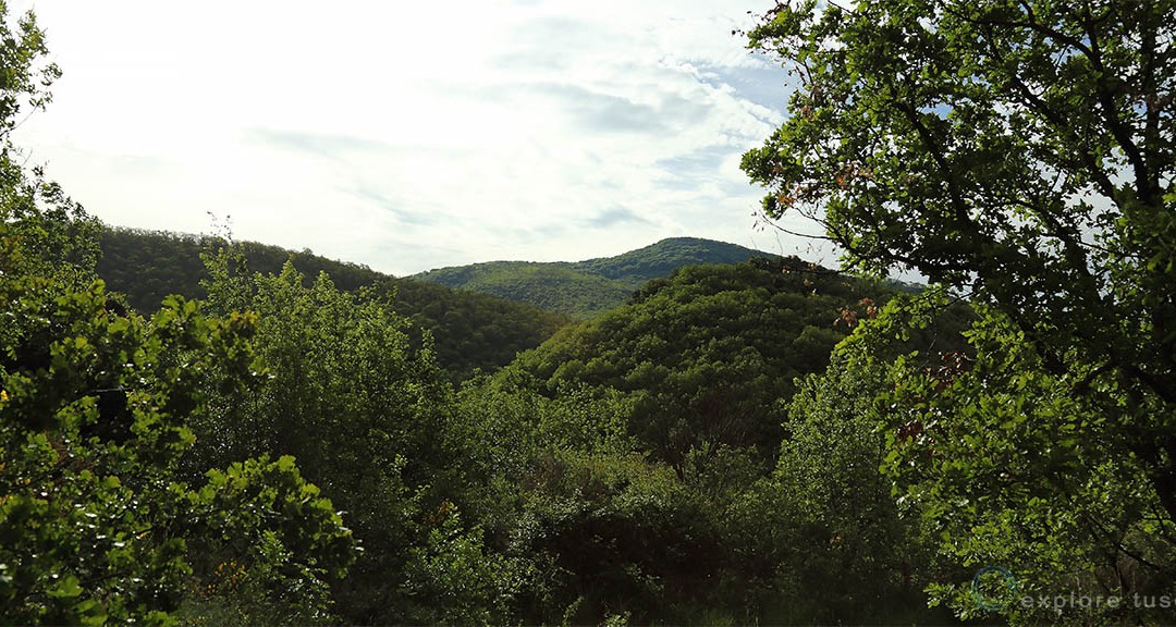 Monti Cimini – atmosfera di foresta