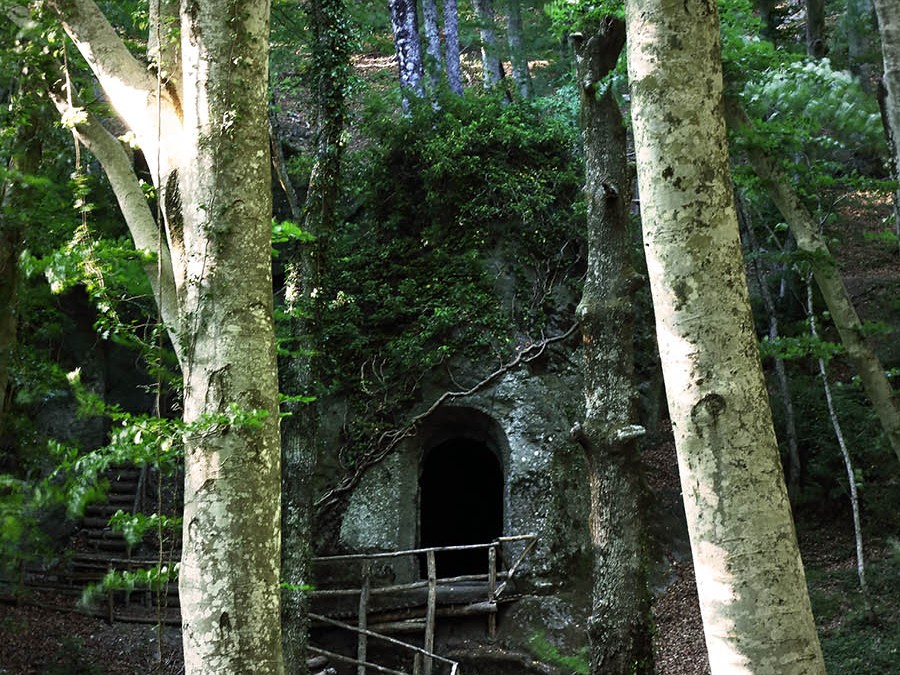 San Girolamo – in the Woods