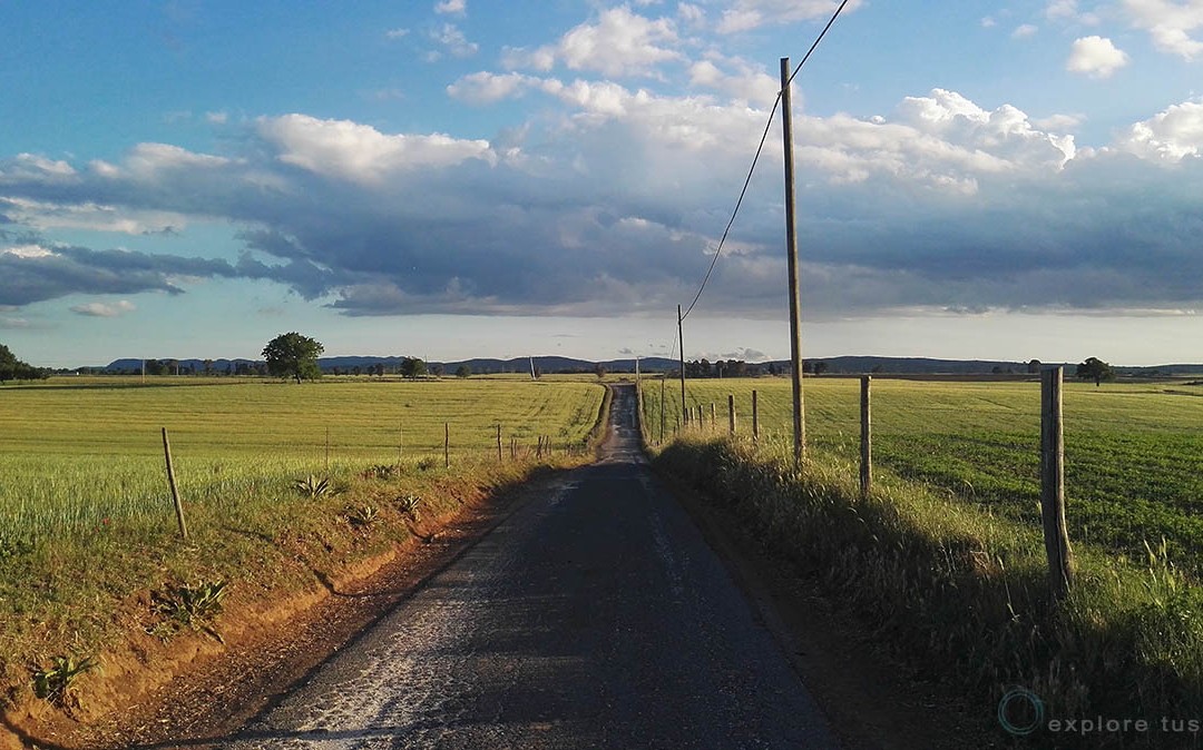 On the Road – no return