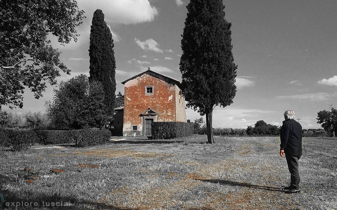 Considerando l’albero – Madonna della Quercia