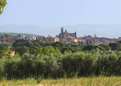 vetralla-paesaggio-campagna