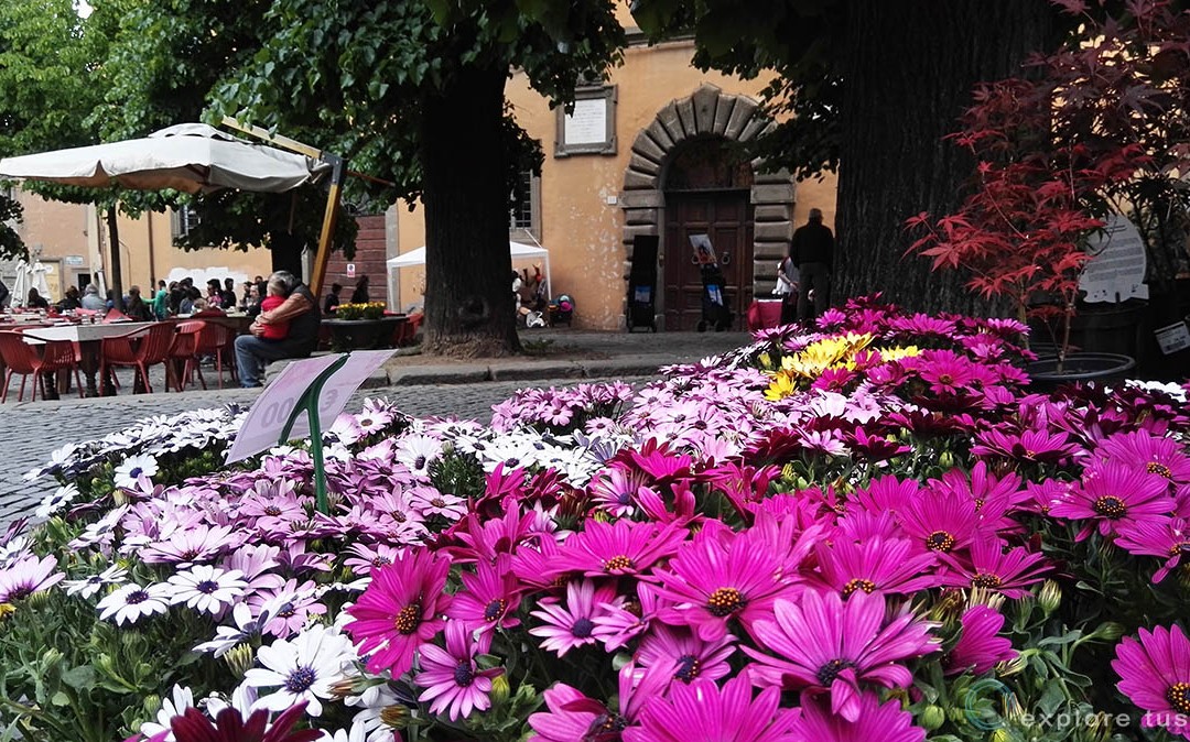 Viterbo In Fiore