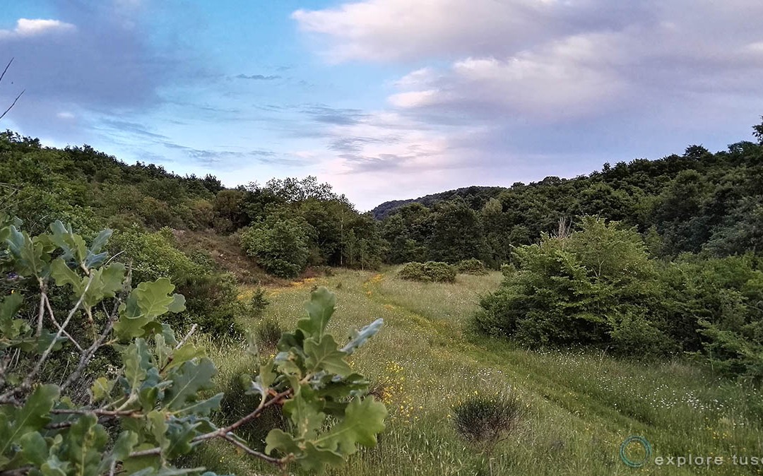 Macchia mediterranea – atmosfere