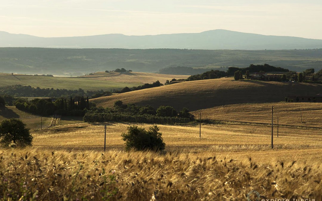 SS675 nella Valle del Mignone – vinceranno politiche retrograde e interessi privati?