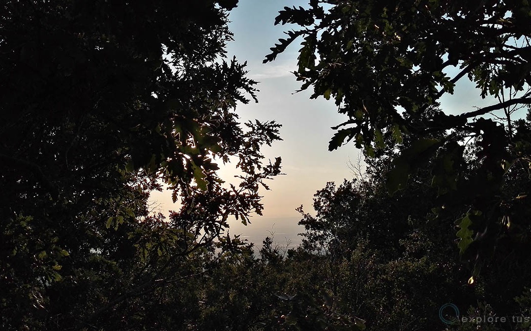 Explore Tuscia – Bird 4: Un occhio sulla pianura dal vulcano