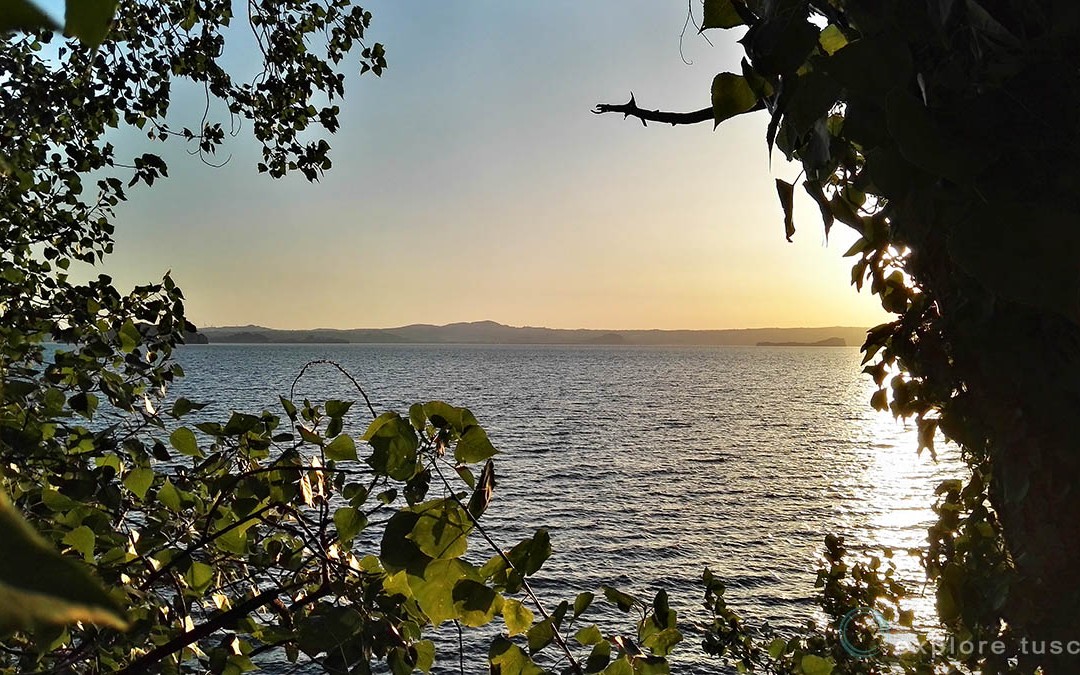 Explore Tuscia – Bird!
