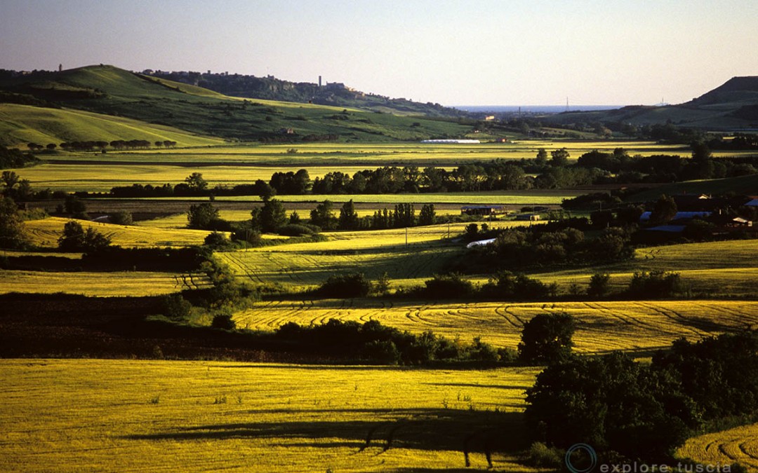 Tarquinia nella Campagna