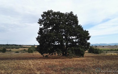 Agro Biedano